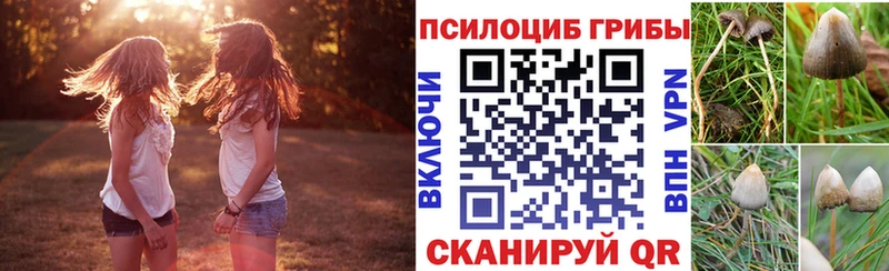 Галлюциногенные грибы MAGIC MUSHROOMS магазин наркотиков блэк спрут сайт Егорьевск
